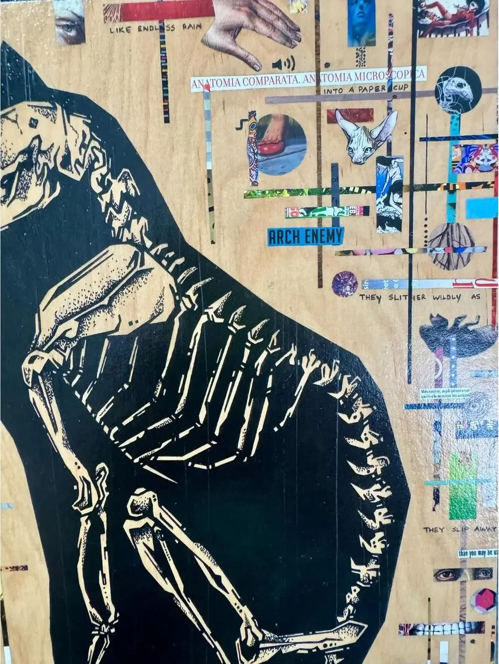 ecurry art the narcissist‎ cat skeleton collage wood panel signed mixed media